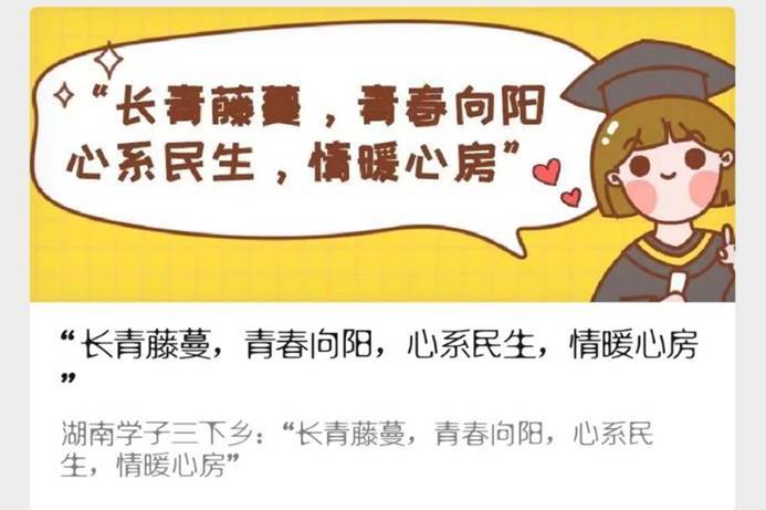 疫情最新动态下的自然美景之旅,重拾内心宁静的拥抱