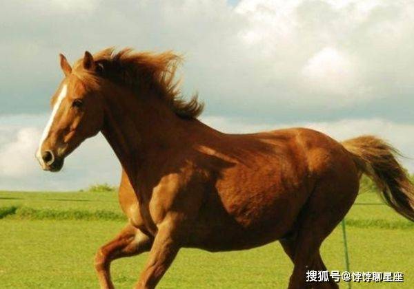 那马最新消息综述，观点阐述与分析