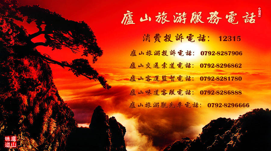 高科技产品的革新之旅，谋夫记最新章节揭秘