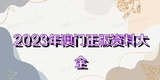 澳门资料大全正版资料2023年免费,互动性策略设计_旅行者特别版77.516