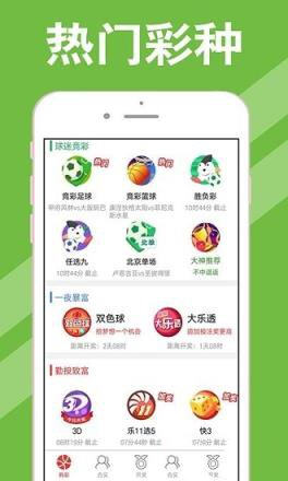 新澳门彩最新开奖记录28鼠,快速解答方案设计_高效版59.329
