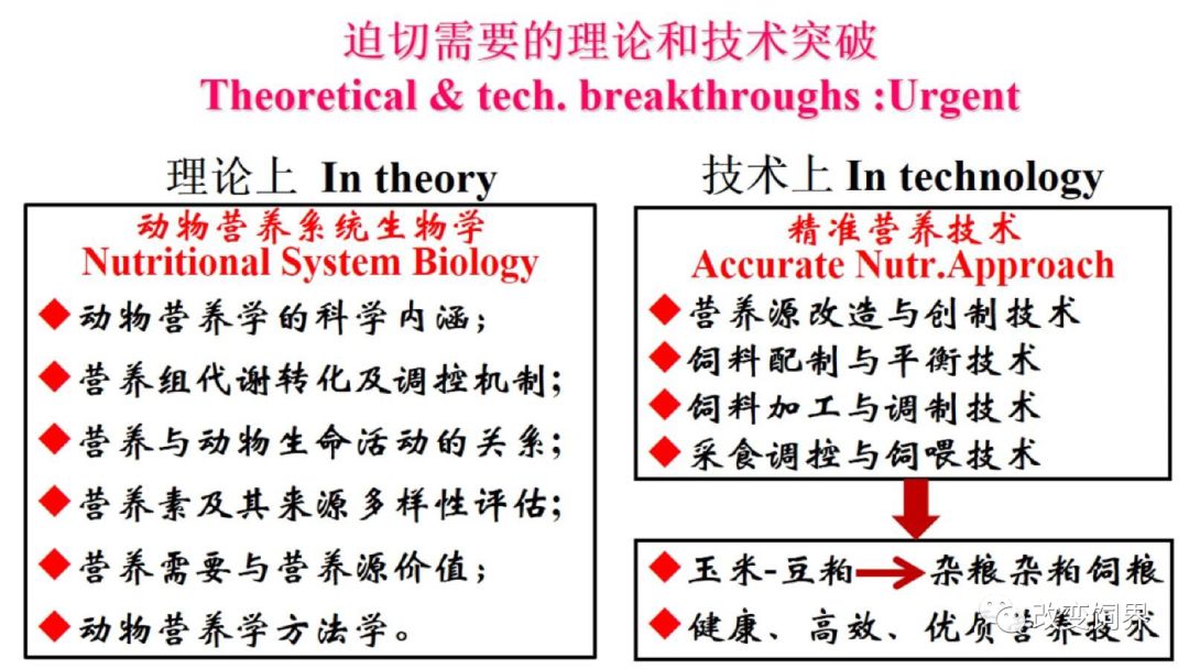 澳门三肖三码精准100%黄大仙规律肖,高效运行支持_L版48.968