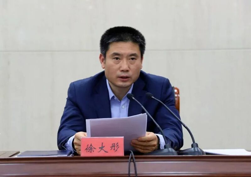 徐大彤最新任职揭秘，多维度探析与观点阐述