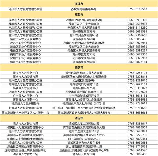 广东八二站奥门兔费资料,精细化实施分析_见证版51.108
