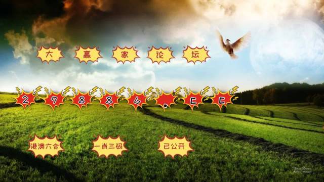 澳门开奖结果+开奖记录表生肖,持续改进策略_增强版35.373