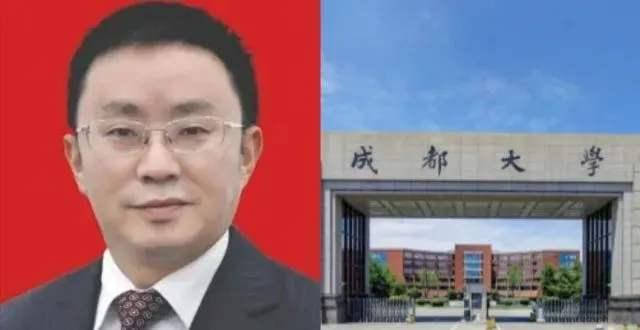 成都大学毛洪涛事件最新进展，逆风翱翔中展现自信与力量