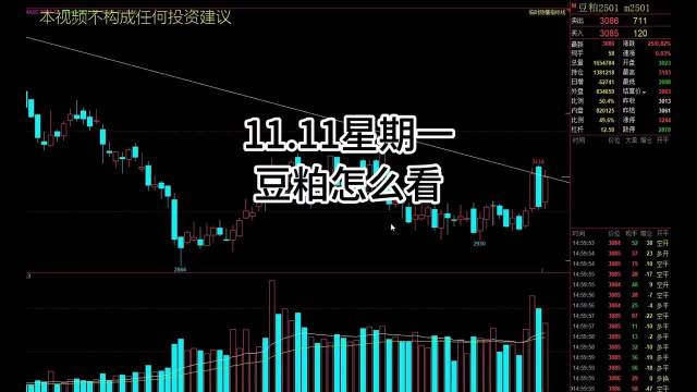 期货豆一豆最新行情与小巷惊喜探索揭秘
