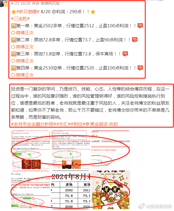 大三巴一肖二码最准,精准解答方案详解_限量版53.824