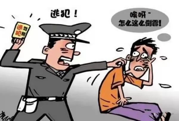 抓逃犯最新消息,抓逃犯最新消息，变化、学习与成就的力量