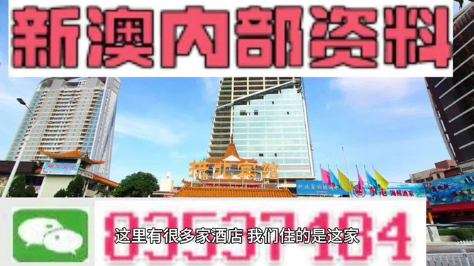 2024新澳精准资料免费提供网站,专业解读方案实施_本地版7.489