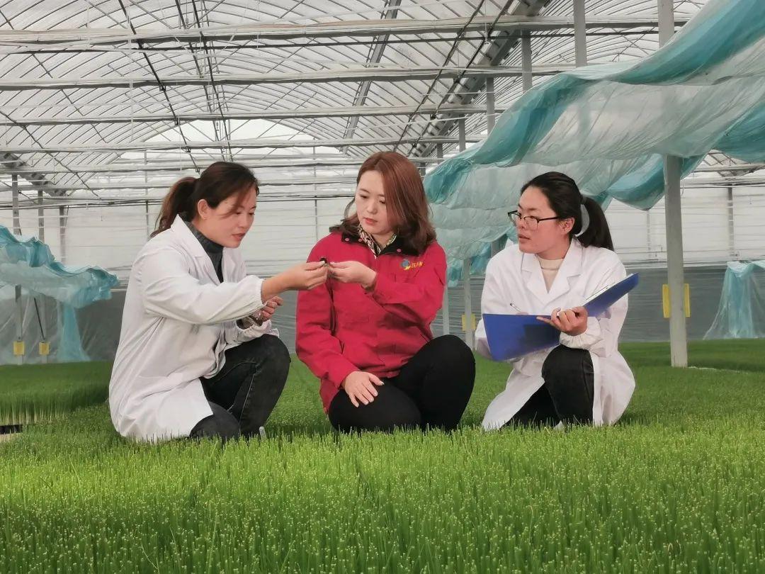留学中国最新政策,留学中国最新政策——科技引领未来，留学体验全新升级