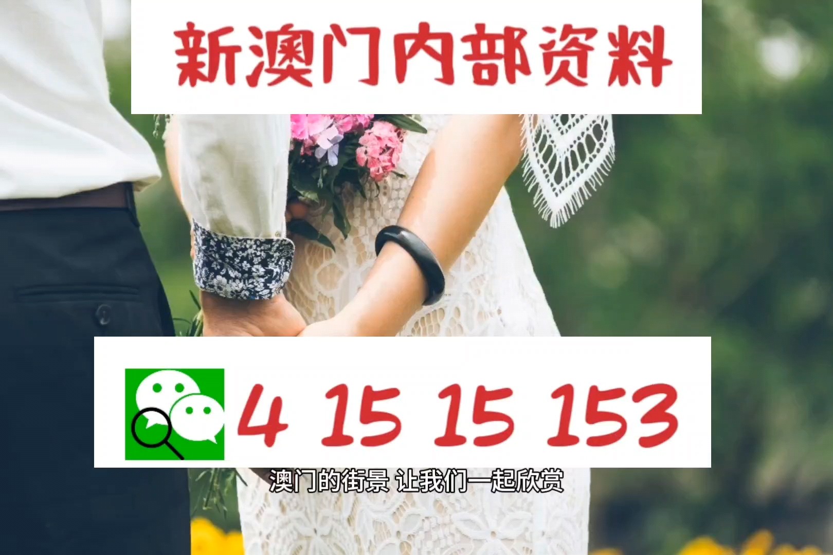 2024新澳门精准免费大全,实地研究解答协助_纪念版9.619