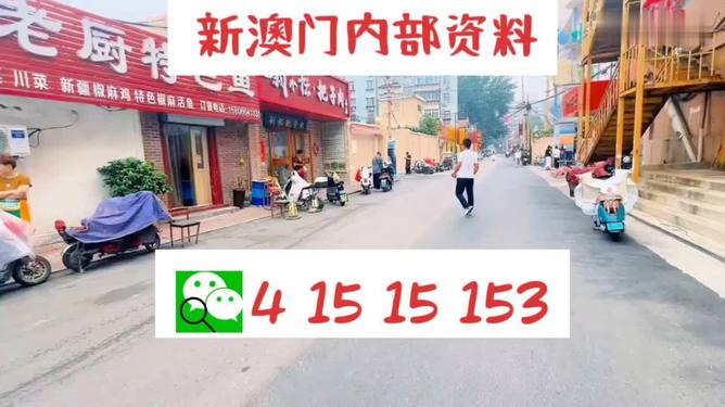 2024澳门天天开好彩大全最新版本,决策支持方案_Phablet44.513
