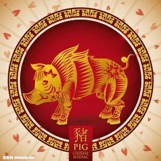 摇钱树四肖八码期期三码必中,决策信息解释_旅行助手版49.498
