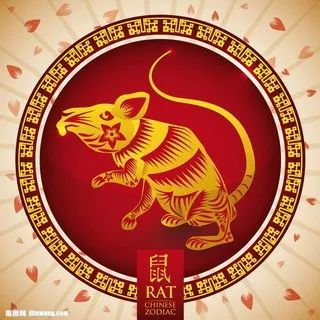 摇钱树四肖八码期期三码必中,灵活执行方案_复兴版9.106