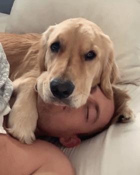 他就是那家伙最新全面解读,独家剖析,不容错过!