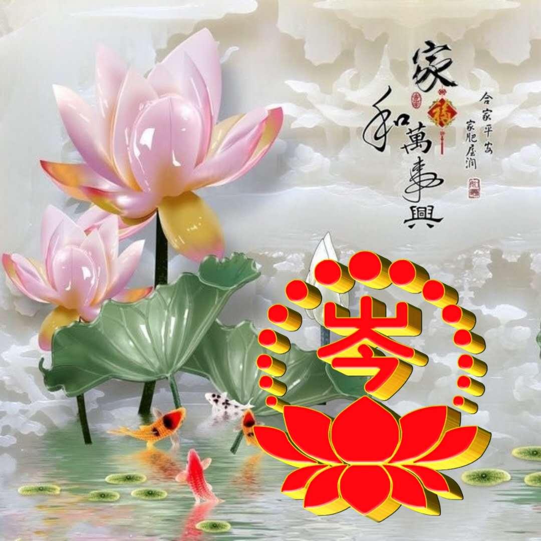 🌟揭秘，2019微信最新版本的独家亮点🌟