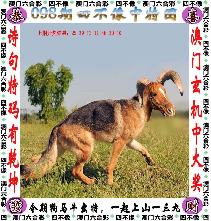2024新奥正版资料四不像,石油与天然气工程_旅行者版31.986