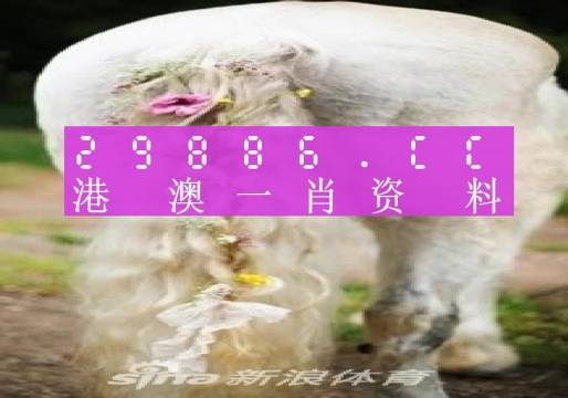 2024澳门必中一肖,实地数据验证_优雅版31.742