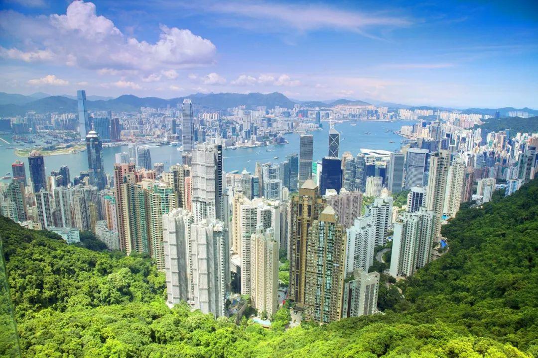 2024香港免费精准资料,全面性解释说明_精选版31.267