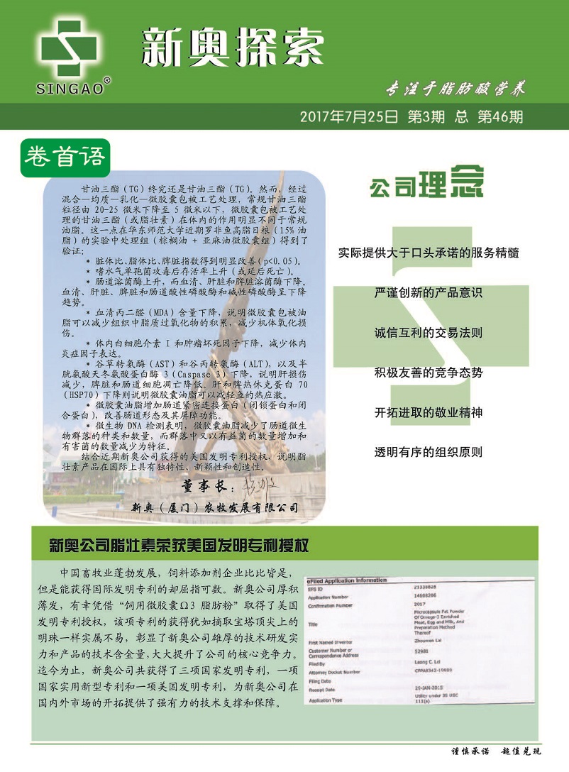 2024新奥正版资料免费,安全性方案设计_4K版91.289