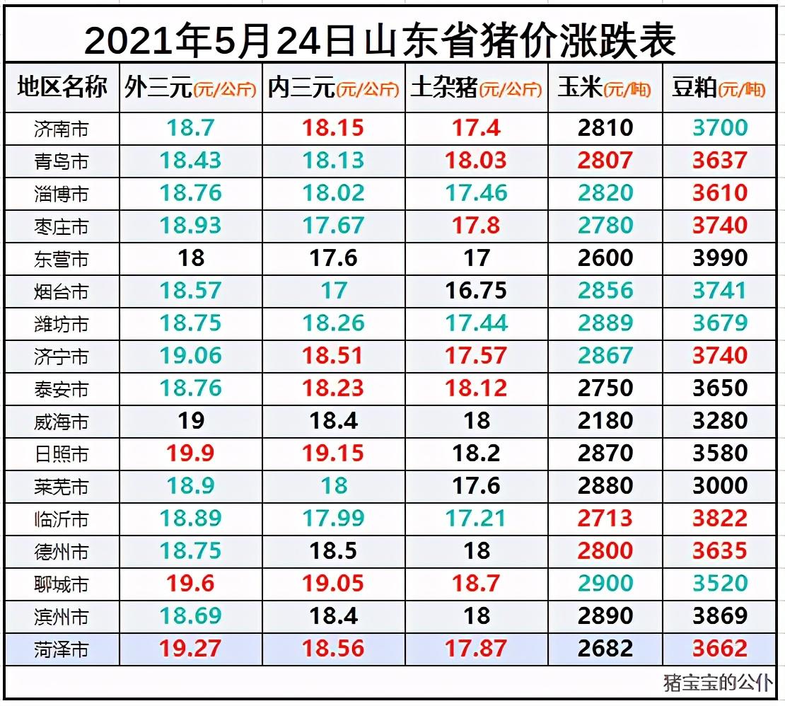 全国今日猪肉价格最新查询与理解步骤指南