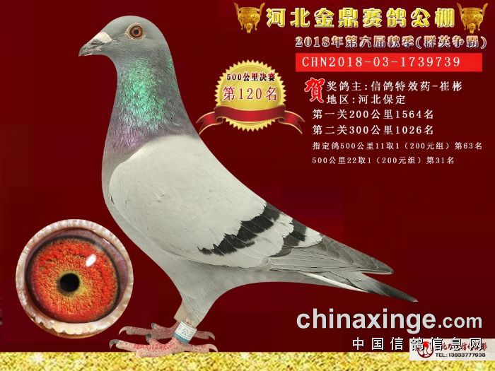 LED显示屏厂家 第386页
