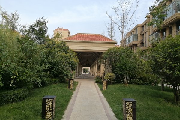 鑫江玫瑰园最新动态,变化中的学习之旅,自信与成就感的培育地