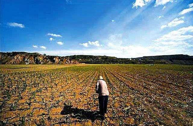 中国农民土地最新政策,标准执行具体评价_颠覆版94.112