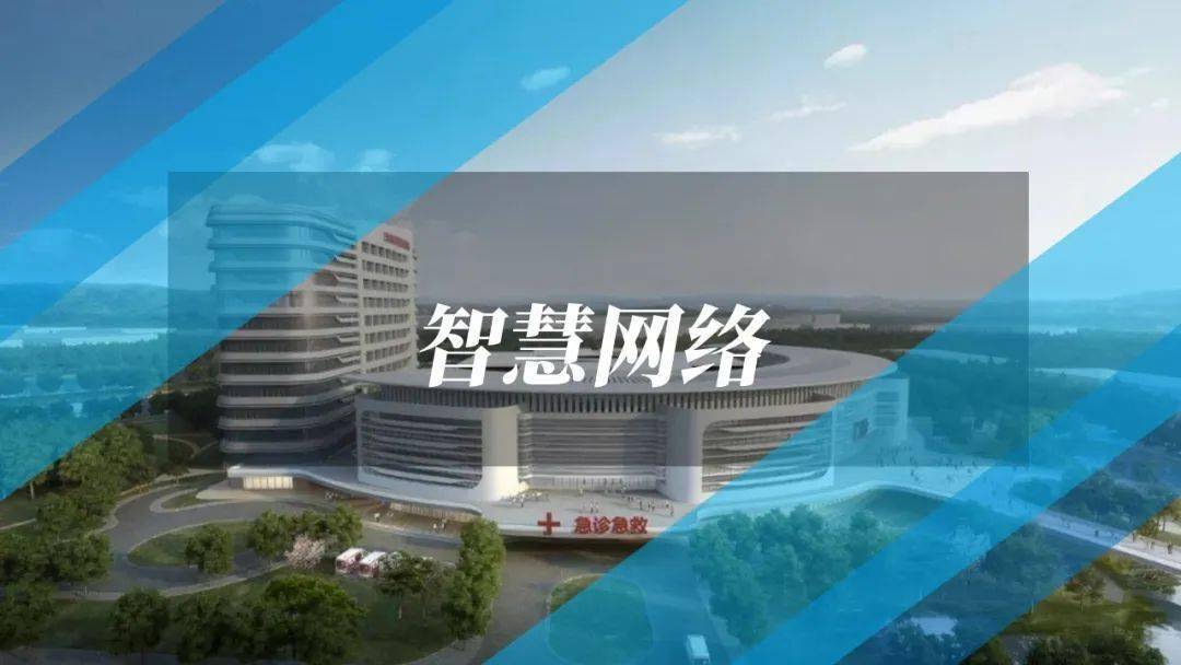 寿县最新消息,实用性解读策略_变革版94.902