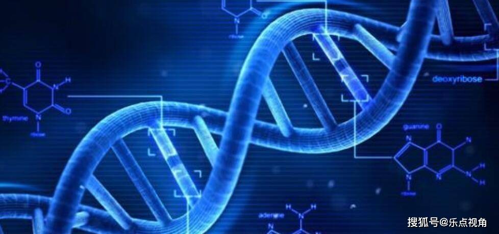 最新电影完整版,科学分析严谨解释_触感版94.929