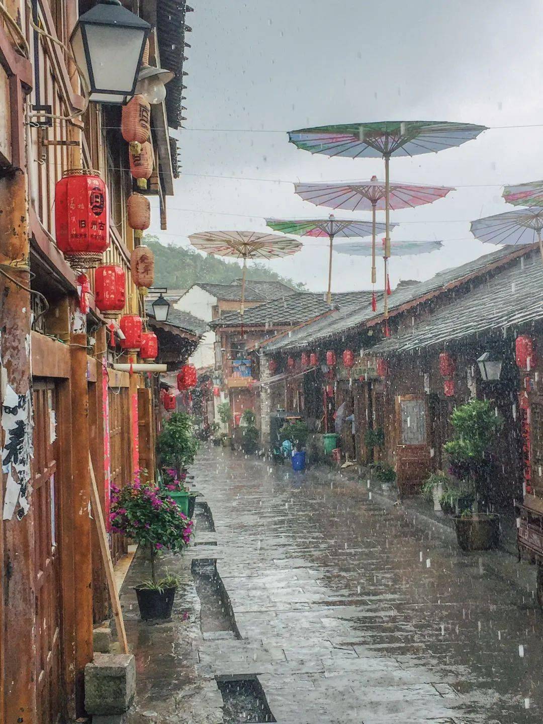 最新电视剧 下载,专业地调查详解_教育版94.246
