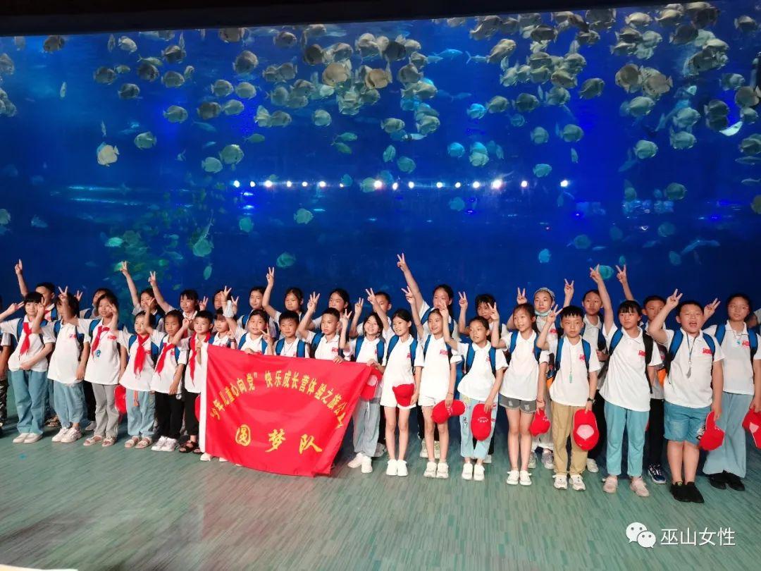 英雄连最新版本,英雄连最新版本，变化中的学习之旅与自信的成就之路