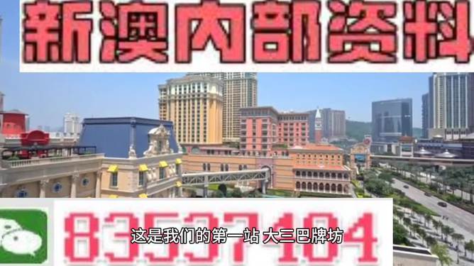 2024新澳正版免费资料大全,社会承担实践战略_商务版9.924