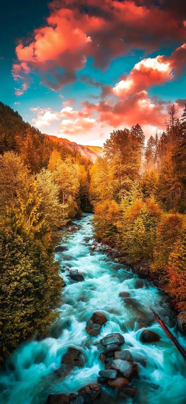 最新壁纸桌面,自然美景的探索之旅