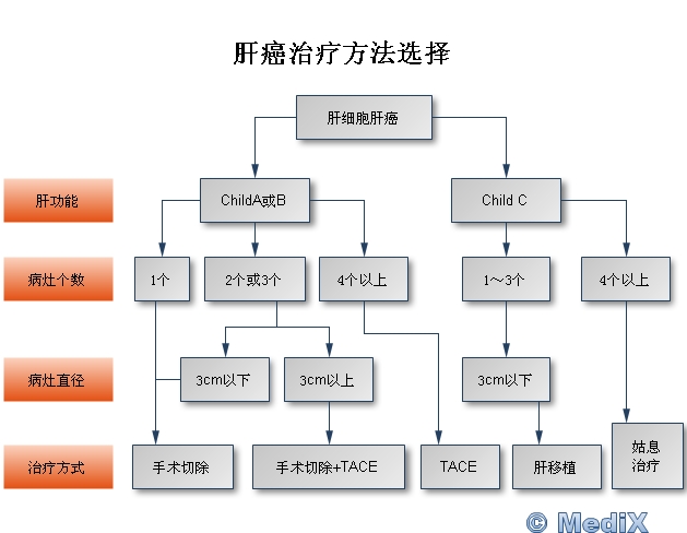 最新肝病治疗步骤指南，全面解析肝病治疗新方法