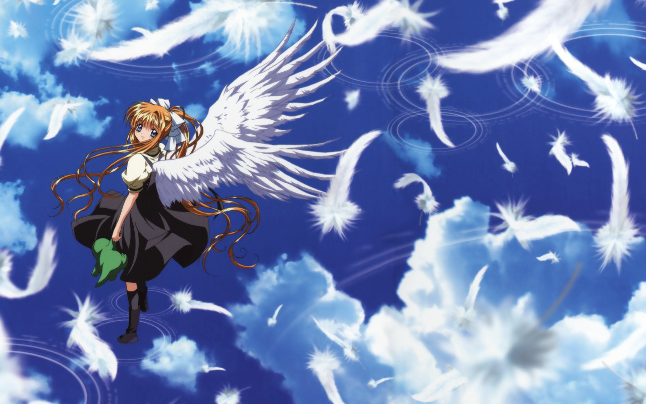 Air最新版，小城科技魔法与家的温馨日常体验