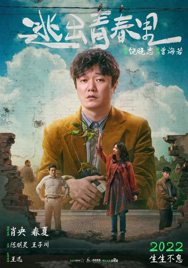骆驼招聘最新信息，沙漠中的职业奇遇与友情绽放