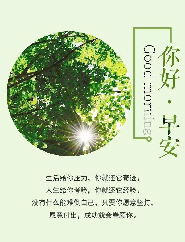 2017最新早安心语正能量的句子,全身心数据指导枕_改进版23.927