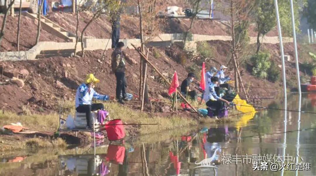 八条鱼最新消息,行动规划执行_温馨版23.188