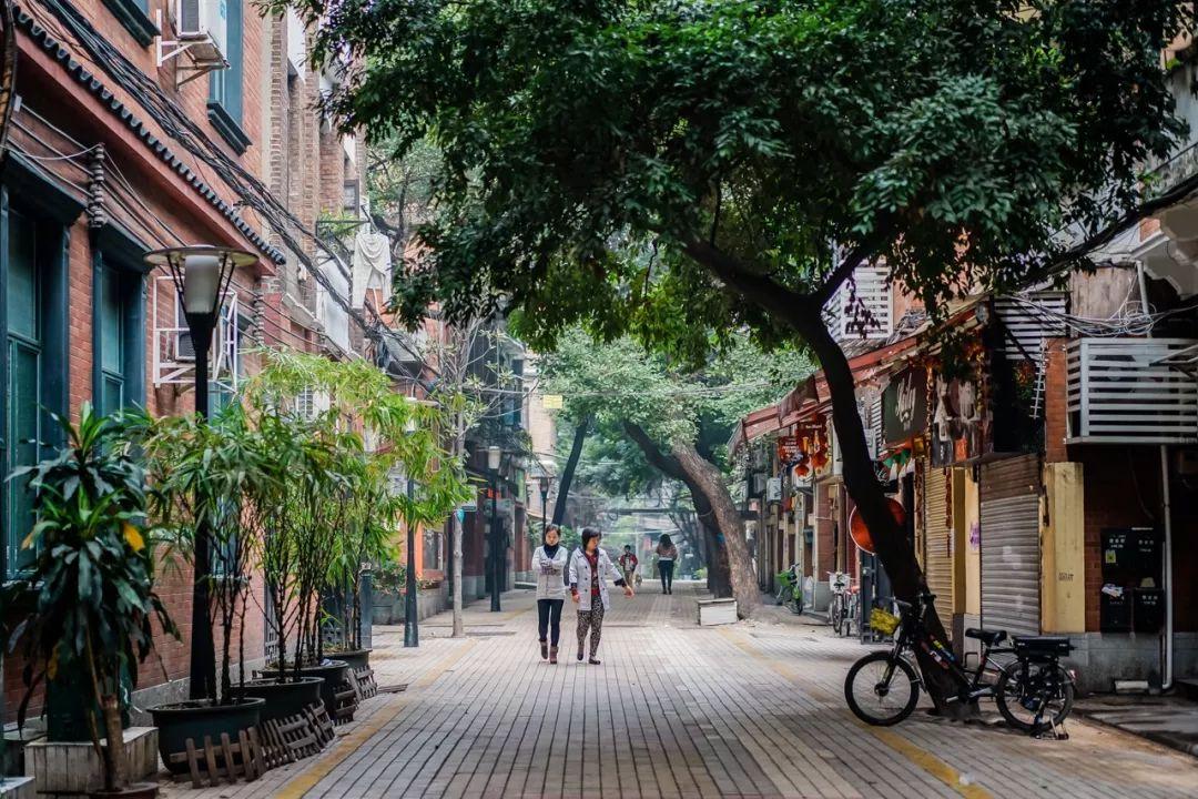 中山司机最新招聘信息揭秘，探寻小巷中的驾驶就业机会