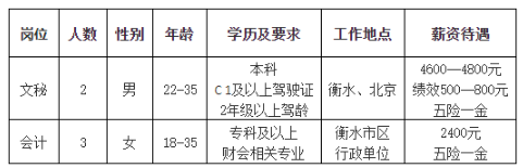 衡水市招聘网最新招聘,处于迅速响应执行_DIY工具版23.556