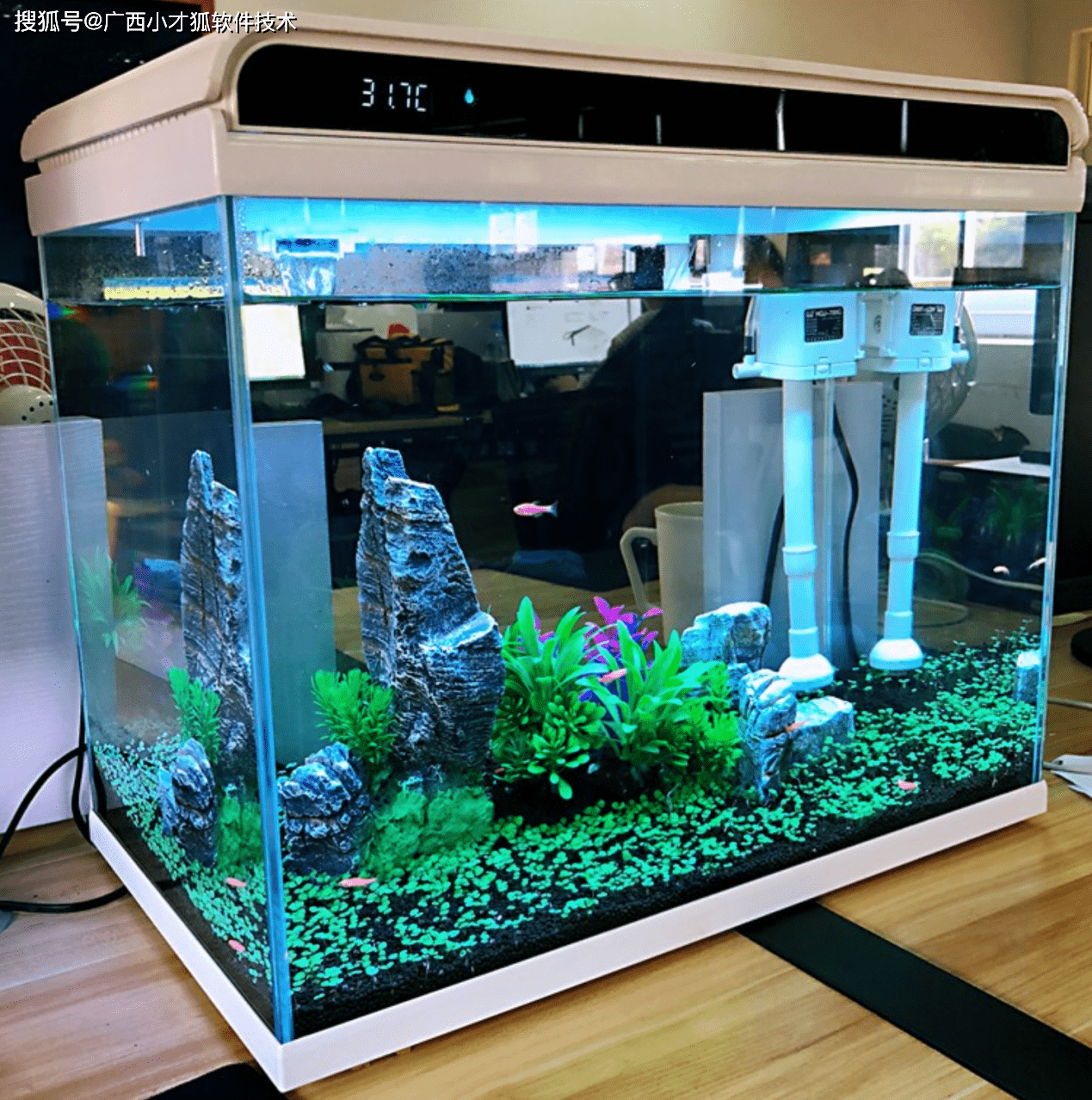 最新水族箱，科技与生活的完美融合艺术展示