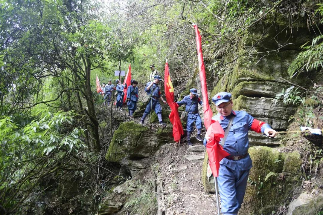 最新版WiFi下载，高效网络连接之旅探索