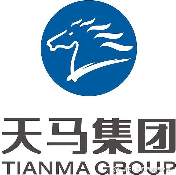 天马股份最新动态与天马小队的日常揭秘