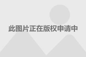最新发行债券基金，小巷中的隐秘投资宝藏