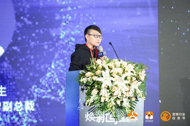 沐挽辰殷珞最新,沐挽辰殷珞最新，一种深入探究的观点论述