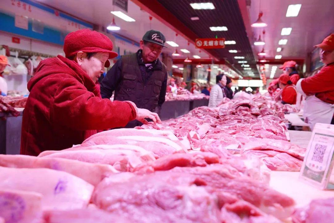 今日最新猪价行情与小巷深处的猪肉风味探索