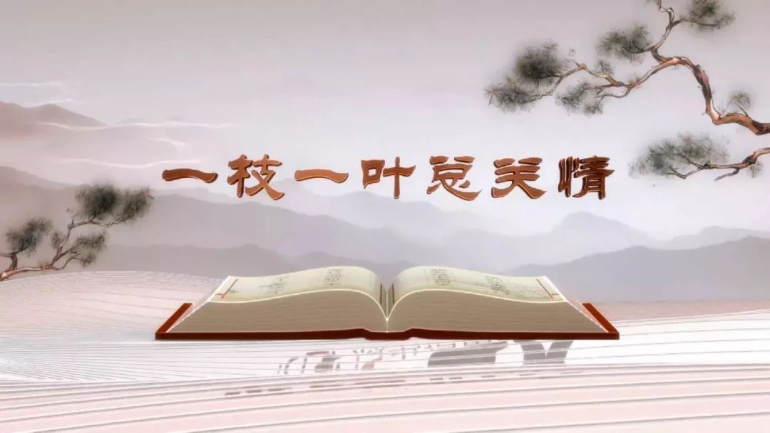 方请平最新作品揭秘，变化中的学习之旅与自信成就感的魔法钥匙