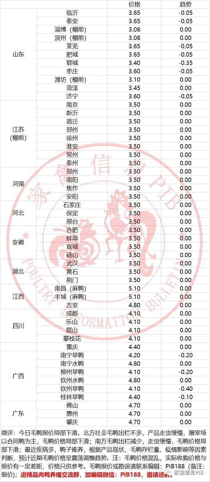 毛鸭行业动态与技术发展引领未来趋势的最新消息